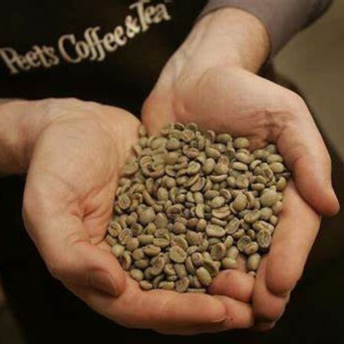 Peets Hand Roasted Craft Coffee