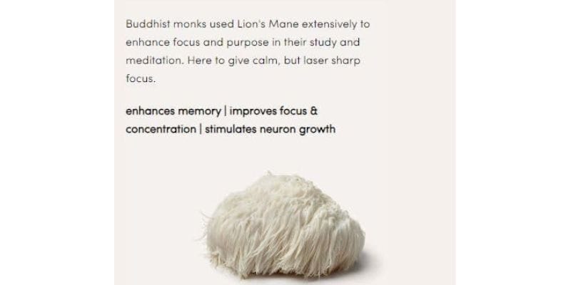 The Cognitive Boost from Lion's Mane