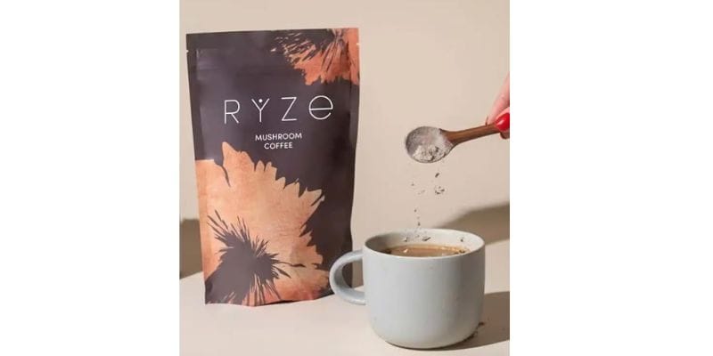 A Delicious Addition to Your Food and Beverage Repertoire ryze mushroom