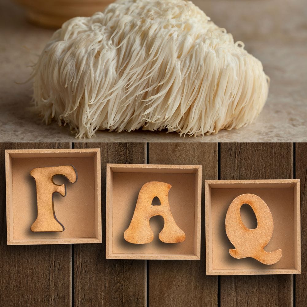 lions mane mushroom frequently asked questions