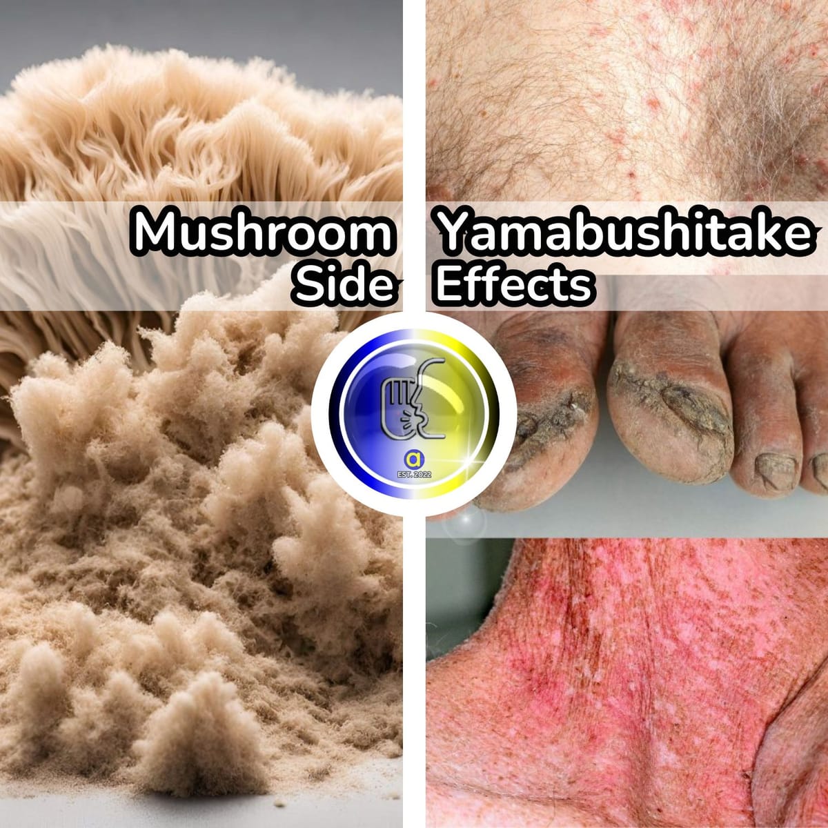 What Are The Side Effects Of Lion S Mane Mushrooms   Lions Mane Mushroom Side Effects  2  