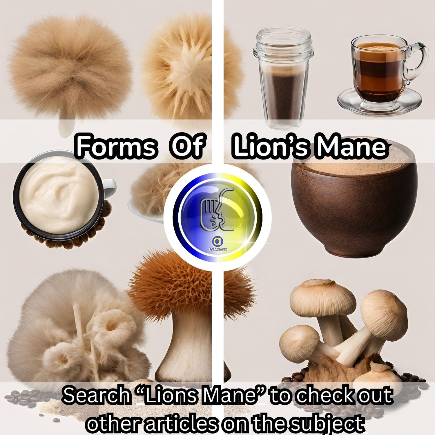 What is the Best Form of Lion's Mane for Optimal Brain Health