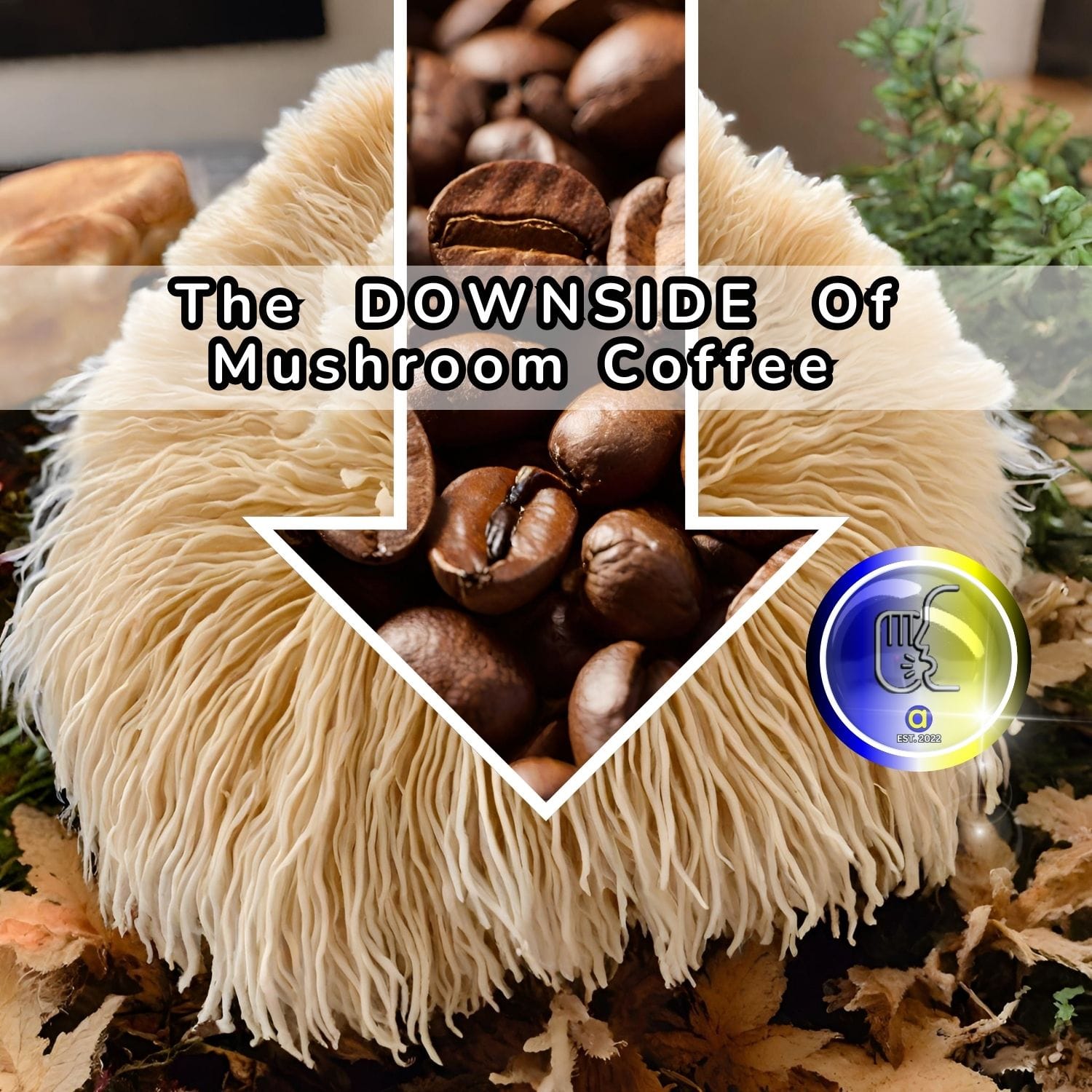 What is the Downside of Mushroom Coffee