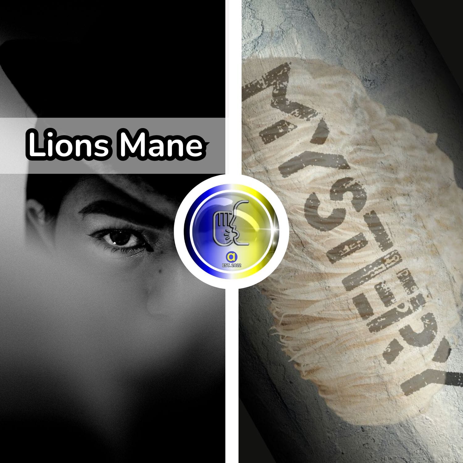 Unveiling the Mysteries of Lion's Mane